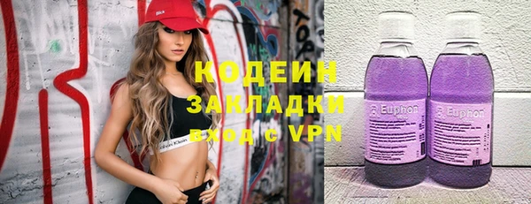 спиды Вяземский