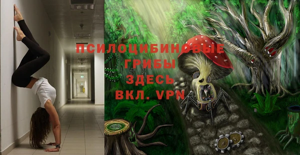 прущая мука Горняк